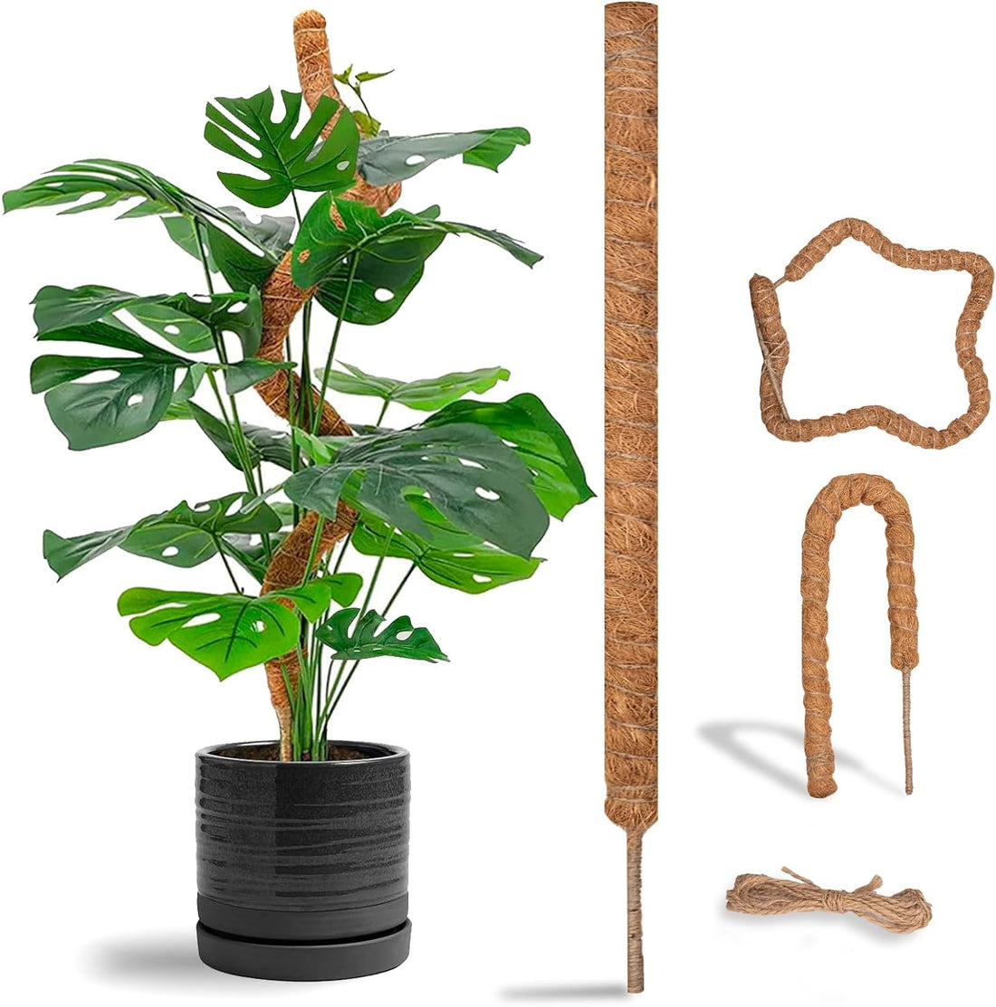 Moss Poles for Plants Monstera Reviews